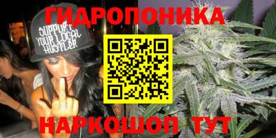 метадон Кингисепп