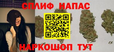 метадон Кингисепп