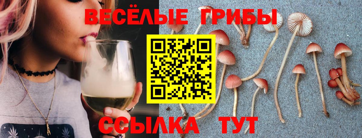 Псилоцибиновые грибы ЛСД Кстово