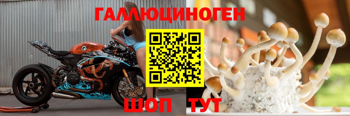 Псилоцибиновые грибы мицелий  Вход с VPN  даркнет сайт  Кстово 